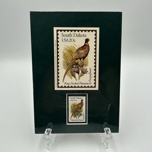 Philatelic Display of STAMP‎ "South Dakota-Ring Necked Pheasant" 20 CENT 1982